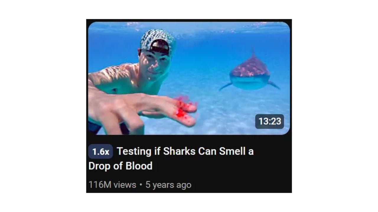 A YouTube video thumbnail featuring a man in the water with a shark swimming nearby. The man has a small cut on his finger that is bleeding. The video title is "Testing if Sharks Can Smell a Drop of Blood" and has 116 million views.